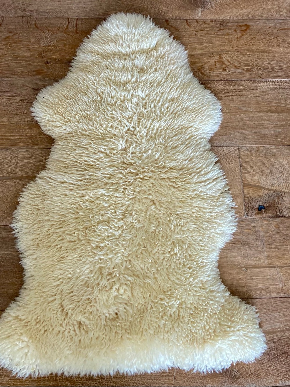 Sheepskin Rug 36”x21”